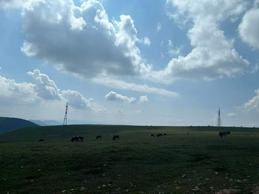 風(fēng)電新顏，晨虹醇酸調(diào)和漆打造綠色能源之美